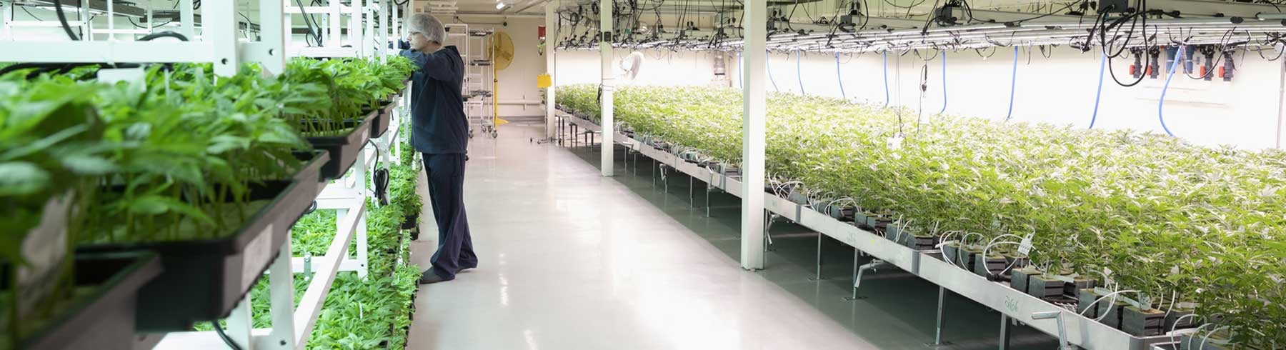 Grow Room Floor Coatings Grow Room Floor Coatings