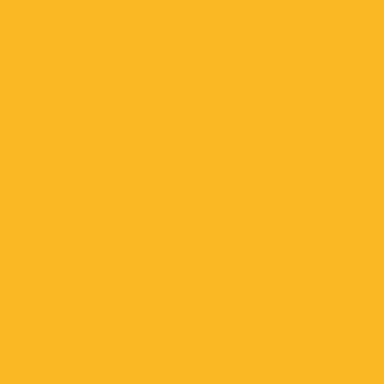RS Yellow Thumb