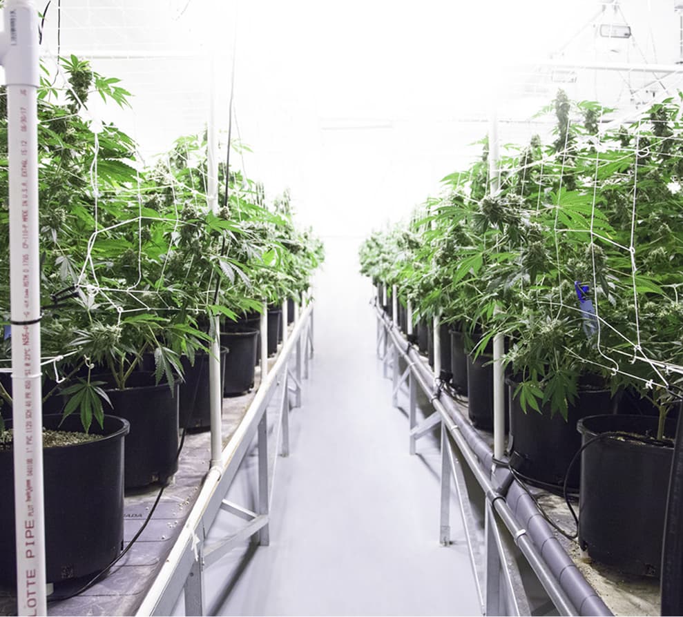 Solutions for Every Grow Room Space