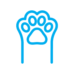 icon-paw